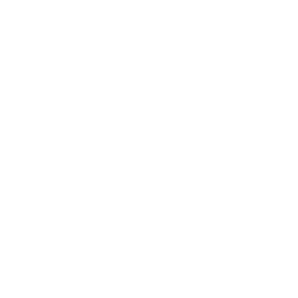 Moonbirds Discord